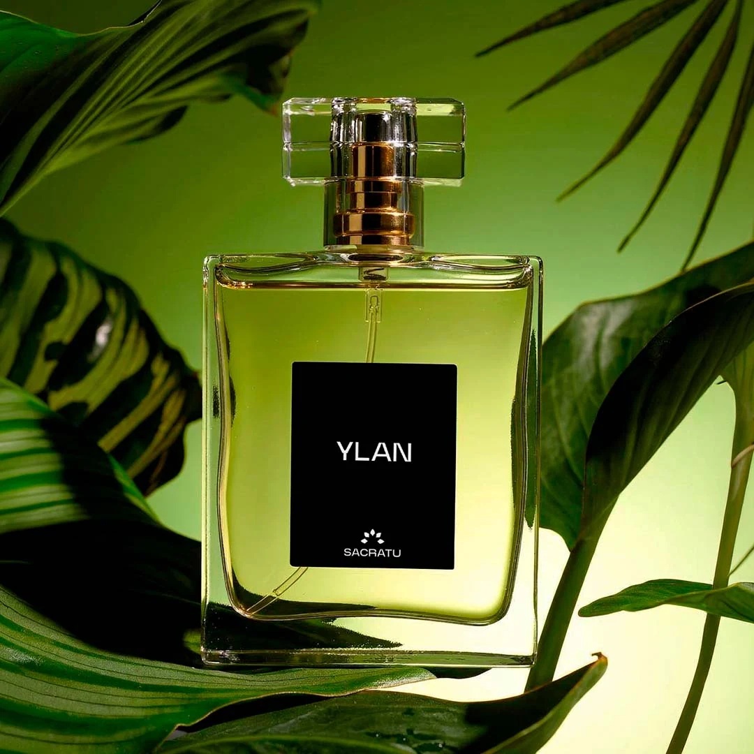 Frasco do perfume Ylan, da Sacratu, entre folhas de palmeira em luz verde.